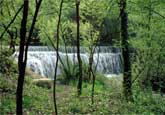 nora river